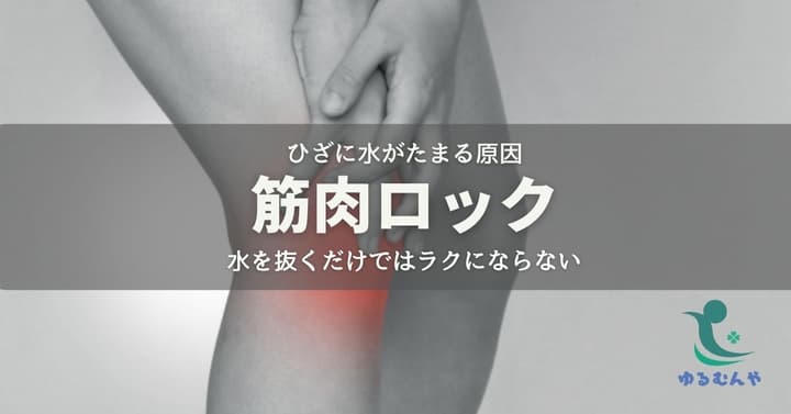 ひざに水がたまる原因は筋肉ロック!根本からラクになる方法とは?のイメージ画像