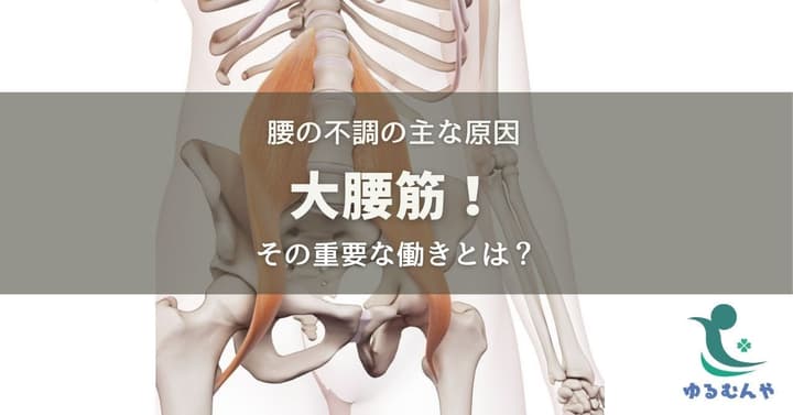 腰痛などほとんどの不調の原因〜大腰筋!その重要な働きとは?のイメージ画像